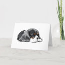 Search for cavalier cards Pet