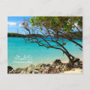 Search for tropic designs postcards Island
