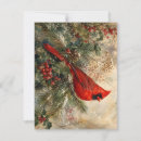 Search for cardinal cards Evergreen