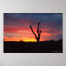 Search for glorious art Sunset