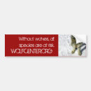 Search for wolves bumper stickers Grey