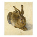 Search for durer posters Hare