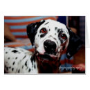 Search for spotted photography Spots