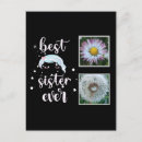 Search for sister postcards For her