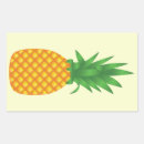 Search for cartoon pineapple stickers Food