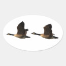 Search for clipping stickers Bird