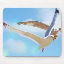 Search for sea bird mousepads Wildlife