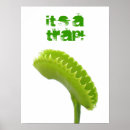 Search for trap posters Venus fly trap