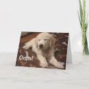 Search for oops cards Sorry