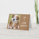 Search for pei postcards Funny