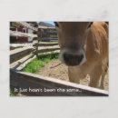 Search for youth invitations Teen