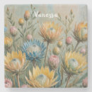 Search for protea coasters Nature