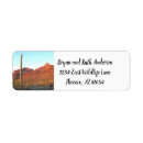 Search for saguaro cactus return address labels National park
