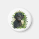 Search for ape magnets Baby