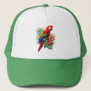 Search for macaw hats Colourful