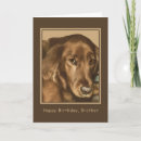 Search for irish birthday cards Setter