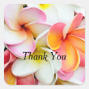 Search for frangipani stickers Hawaii
