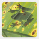Search for amphibian stickers Central america