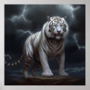 Search for leopard design art Cute
