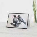Search for the raven cards Ravens