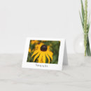 Search for blank cards Thinking of you