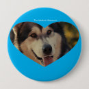 Search for malamute badges Alaska