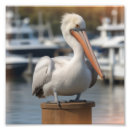 Search for pelican art Florida