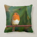 Search for robin bird cushions Animals