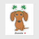 Search for shamrock cases Saint patricks day