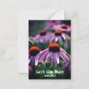 Search for nature note cards Flower