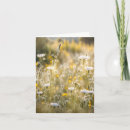 Search for white flowers sympathy thank you cards Floral