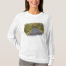 Search for klasse tshirts Vermont