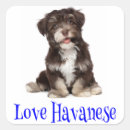 Search for puppy love stickers Puppies