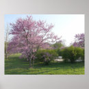 Search for buds posters Park