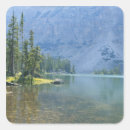 Search for smith stickers Nature