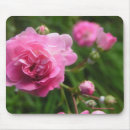 Search for pink rose mousepads Chic