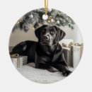 Search for lab christmas tree decorations Dog