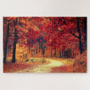 Search for beautiful puzzles Landscape