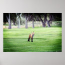 Search for fox photography Wildlife