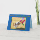 Search for cute funny bird birthday cards Colourful