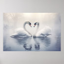 Search for swan art Bird