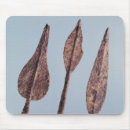 Search for pre historic mousepads Age