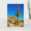 Search for sonoran cards Arizona
