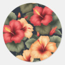 Search for hibiscus flower stickers Vintage