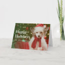 Search for chinese christmas cards Pets