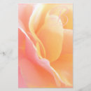 Search for floret Yellow
