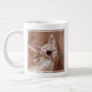 Search for domestic cats mugs Orange cat