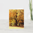 Search for oak cards Fall