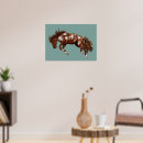 Search for bronco posters Bucking