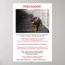 Search for animal rescue posters Puppies